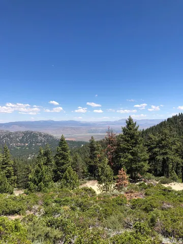 a view of a city with green space