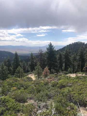 a view of a yard with an trees