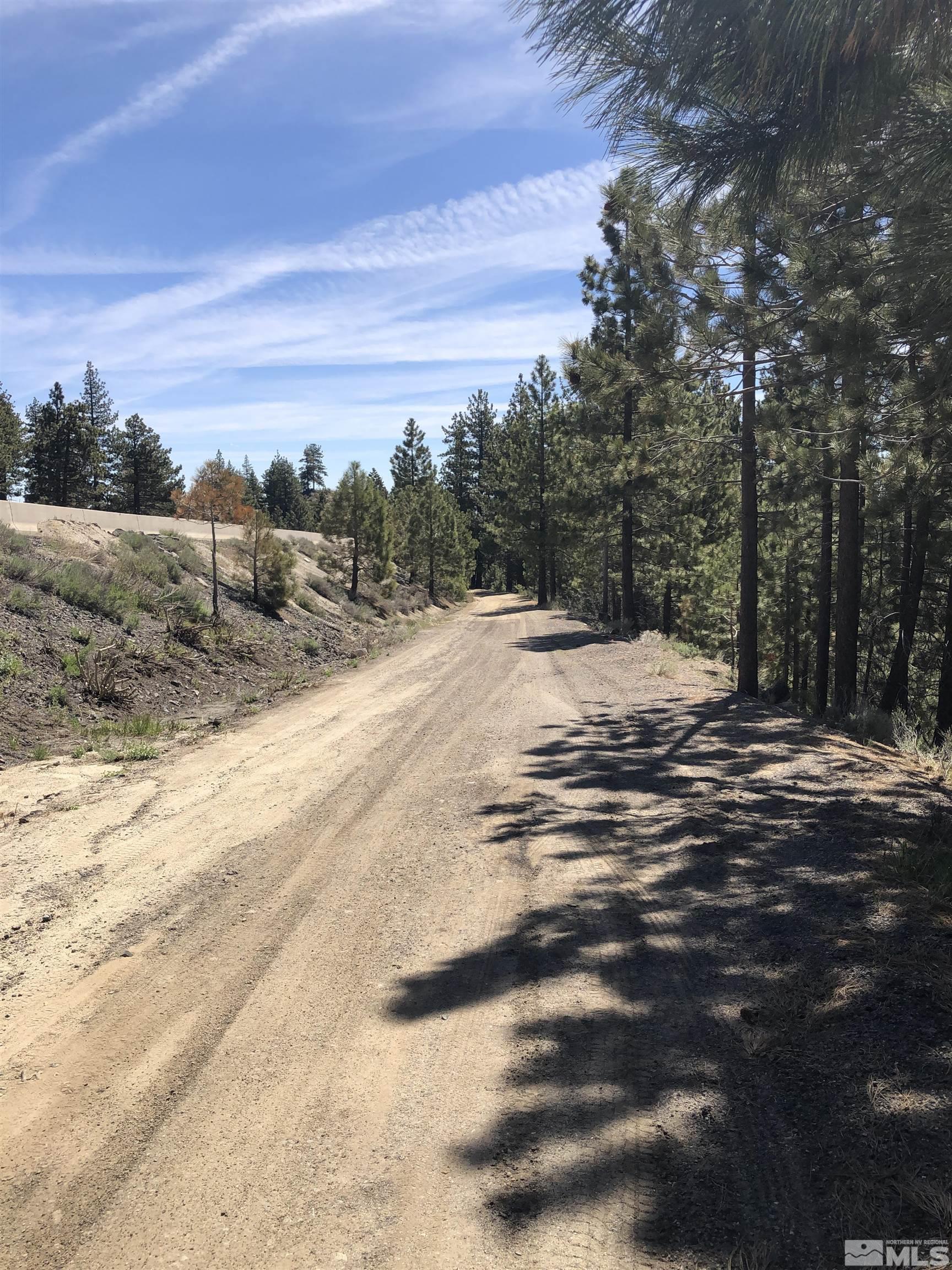 3735 Highway 50 Glenbrook, NV 89413 - Photo 4 of 11 a view of a backyard of a house