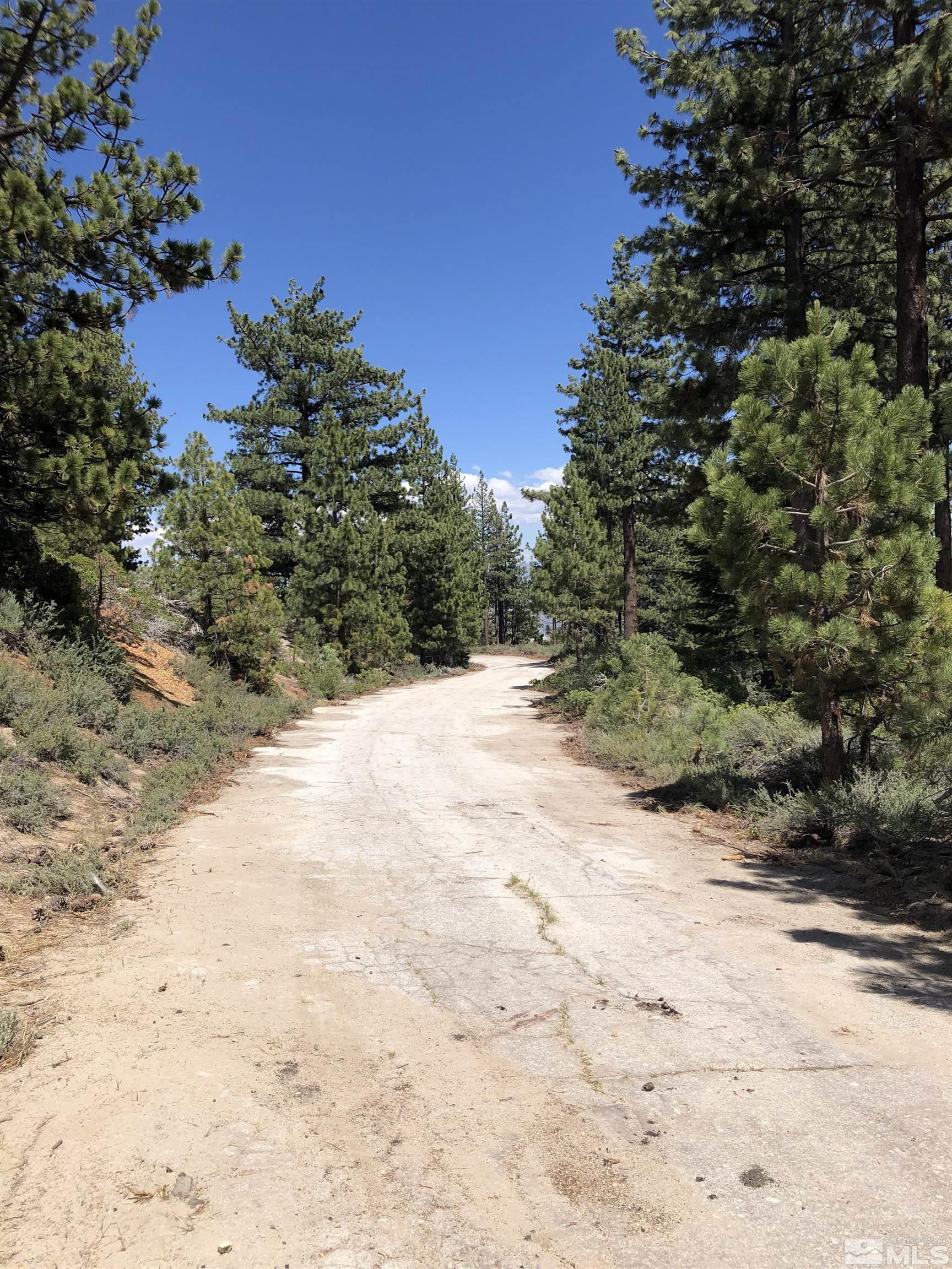 3735 Highway 50 Glenbrook, NV 89413 - Photo 9 of 11 a view of a yard with plants and trees