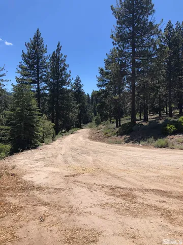 a street view covered with snow