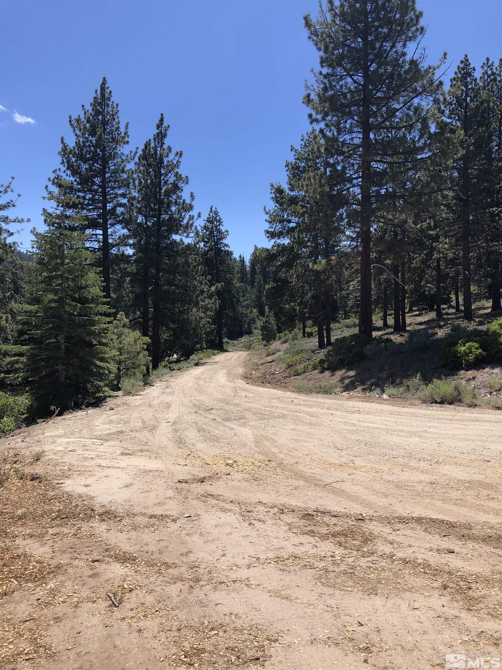 3735 Highway 50 Glenbrook, NV 89413 - Photo 10 of 11 a street view covered with snow