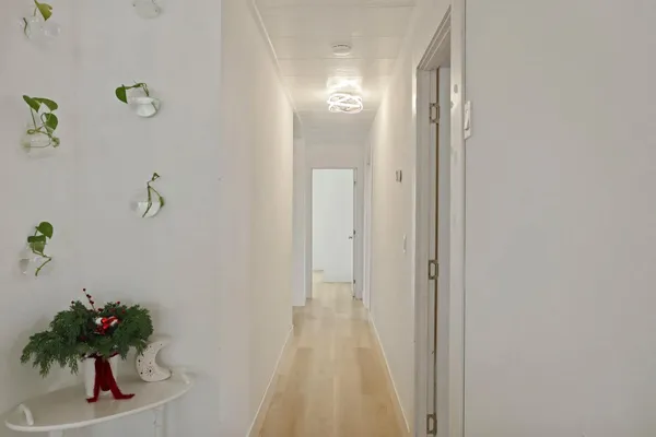 a view of a hallway with flower pot