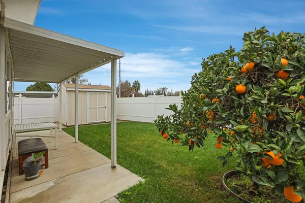 a view of a backyard with plants
