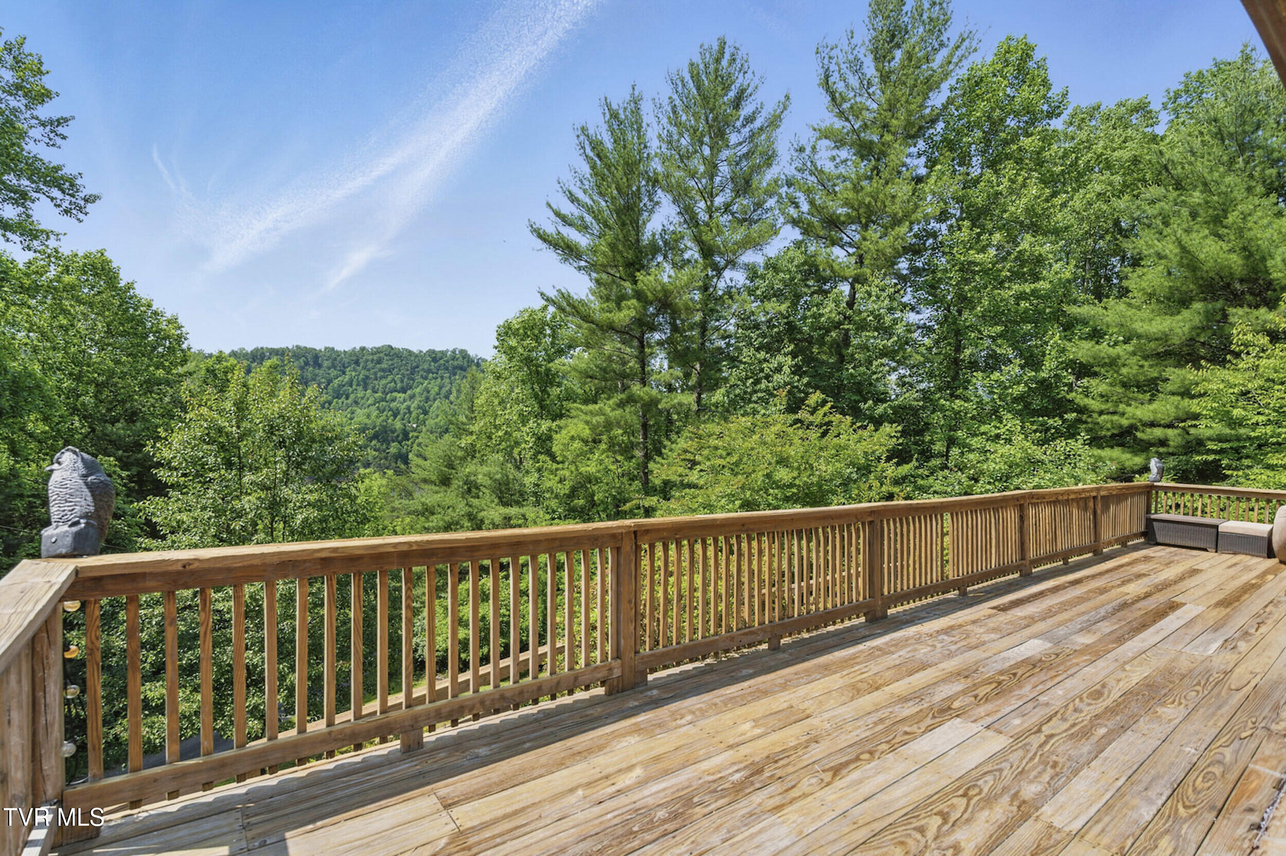 2210 Norris Road Butler, TN 37640 - Photo 4 of 44 deck 1