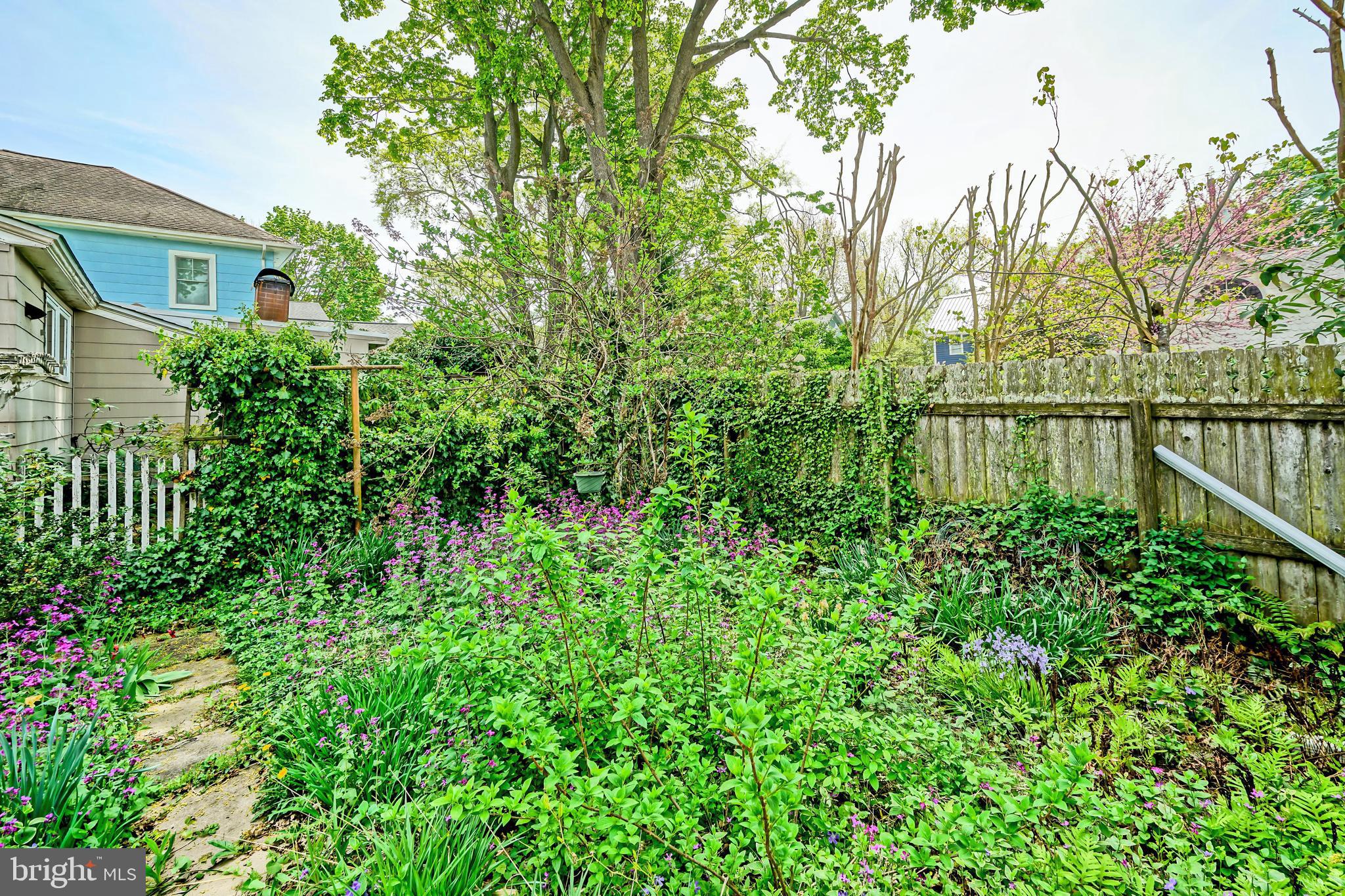 407 Savannah Road Lewes, DE 19958 - Photo 42 of 44 a view of a garden with a tree