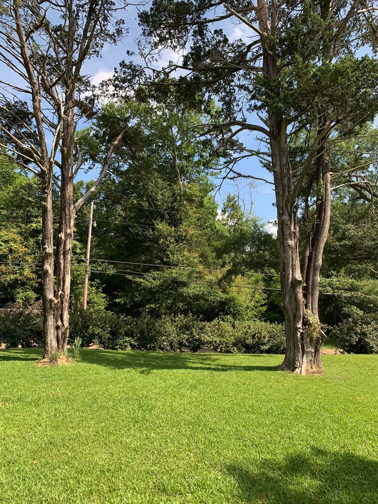 544 Liberty Road Gloster, MS 39638 - Photo 11 of 13 Photo 12