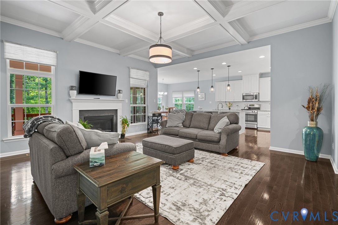 1012 Water Beech Road Midlothian, VA 23114 - Photo 10 of 47 a living room with furniture a fireplace and a flat screen tv