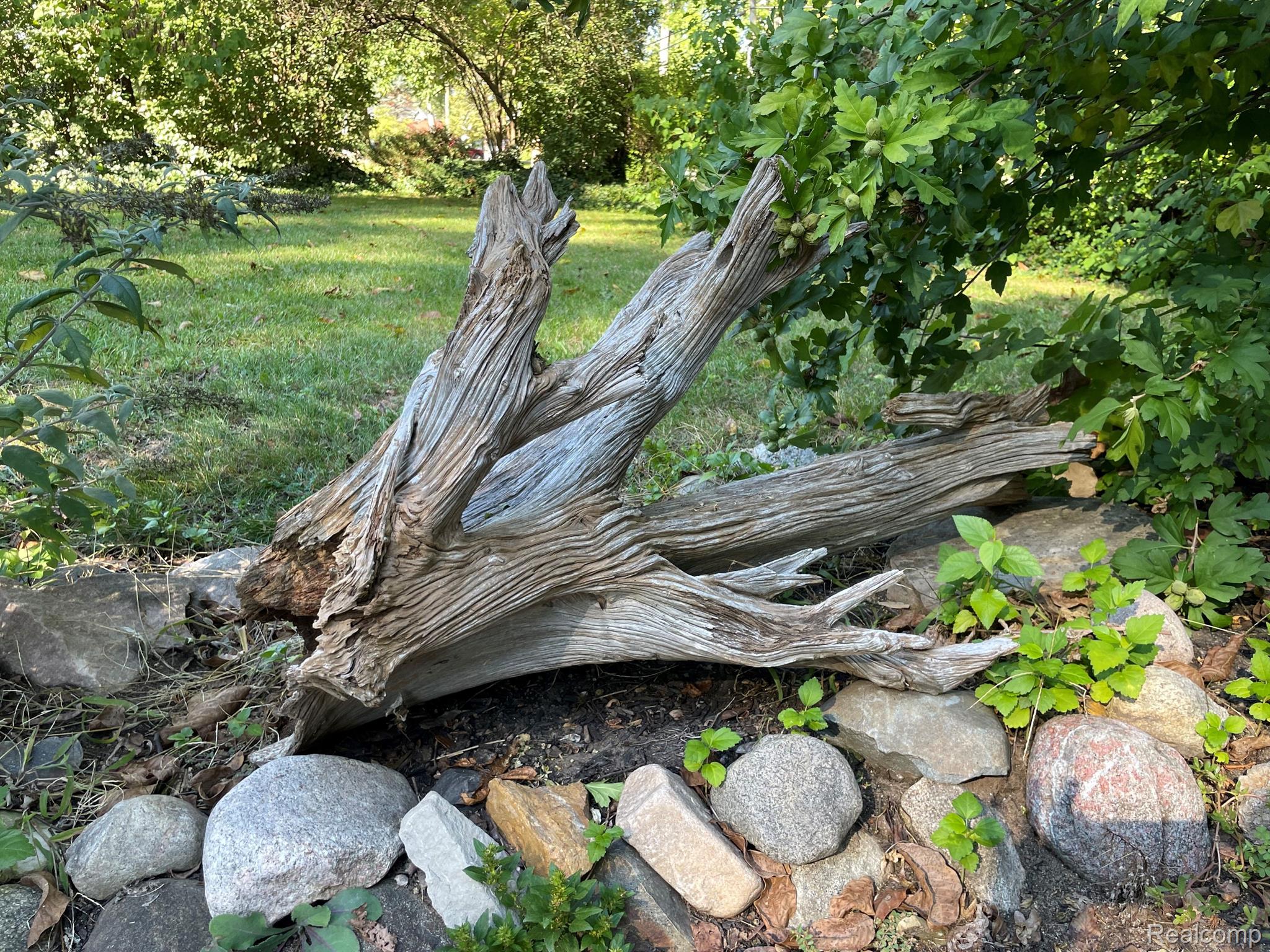 Lakehouse themed landscaping.