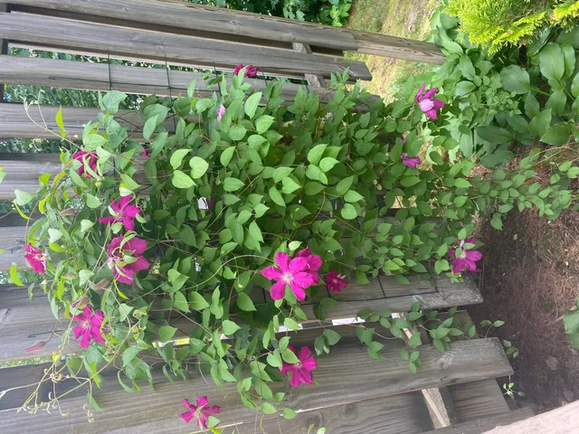 $215,000 | 104 Evergreen Drive, Unit 104, Waterville, ME 04901