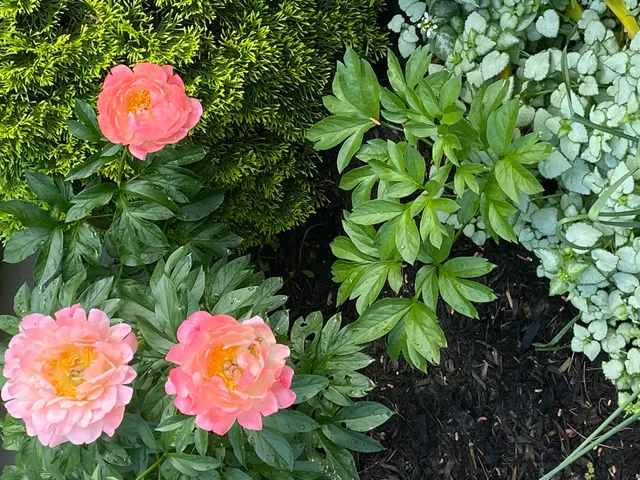 $215,000 | 104 Evergreen Drive, Unit 104, Waterville, ME 04901