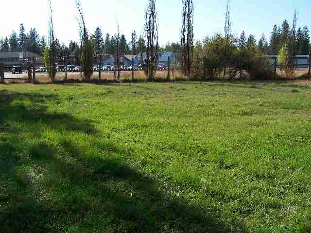 3953 Christensen Road Loon Lake, WA 99148 - Photo 2 of 4