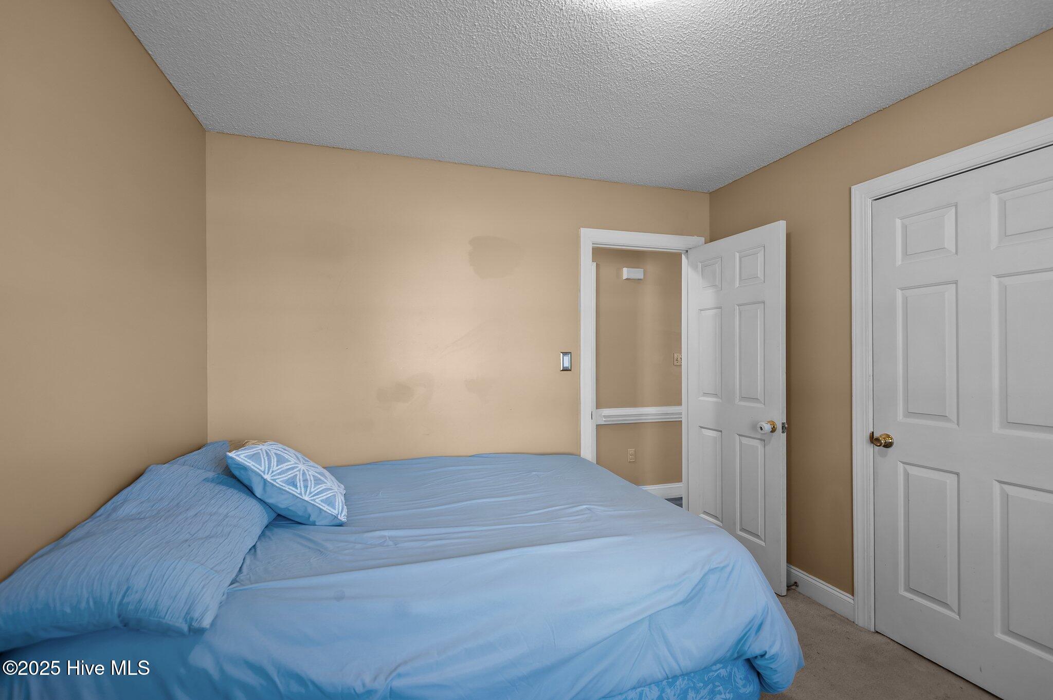 5065 Chris Road Bailey, NC 27807 - Photo 21 of 57 21-web-or-mls-_DSC2741