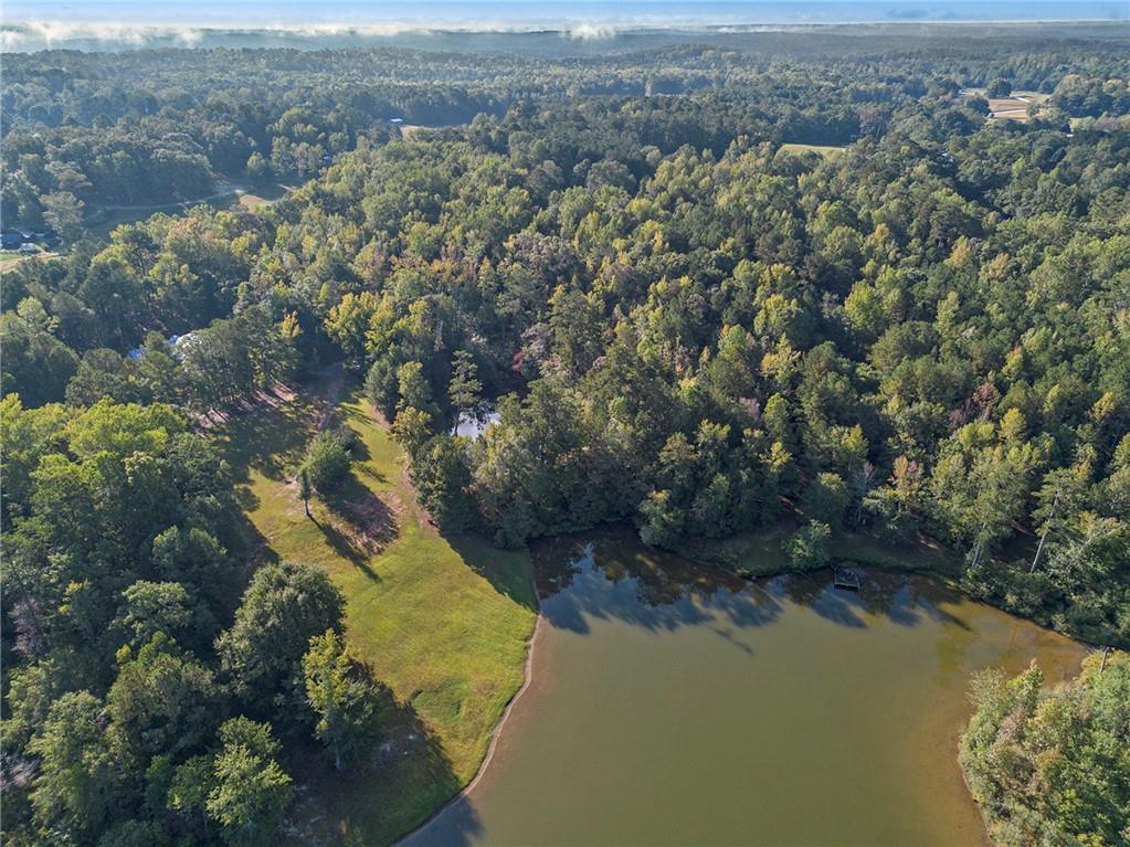 10861 Hutchesons Ferry Road Chattahoochee Hills, GA 30268 - Photo 15 of 18