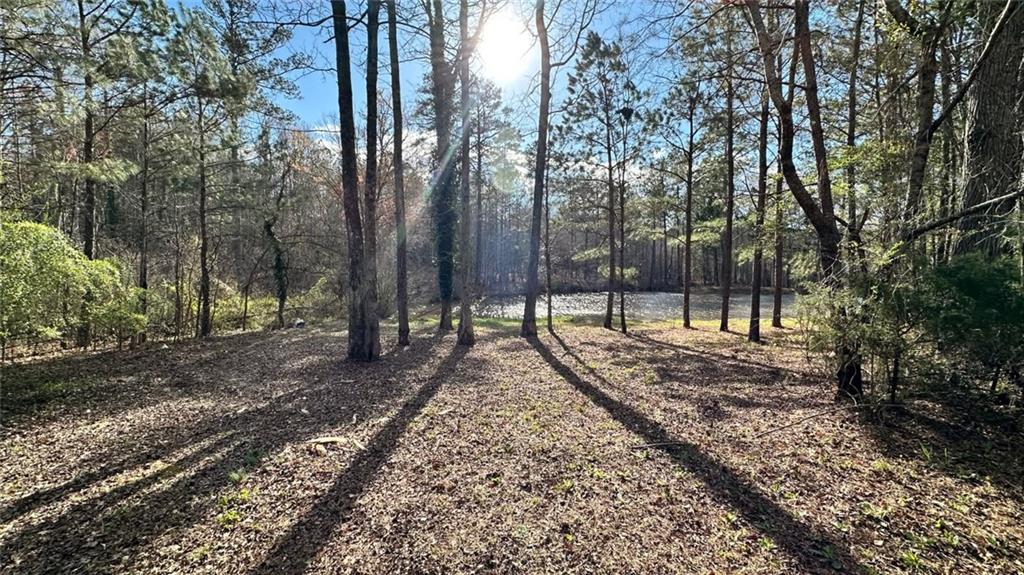 10861 Hutchesons Ferry Road Chattahoochee Hills, GA 30268 - Photo 4 of 18