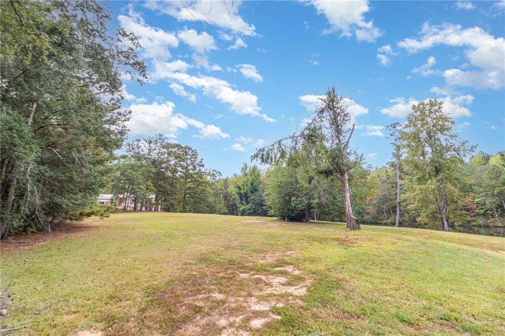 10861 Hutchesons Ferry Road Chattahoochee Hills, GA 30268 - Photo 6 of 18