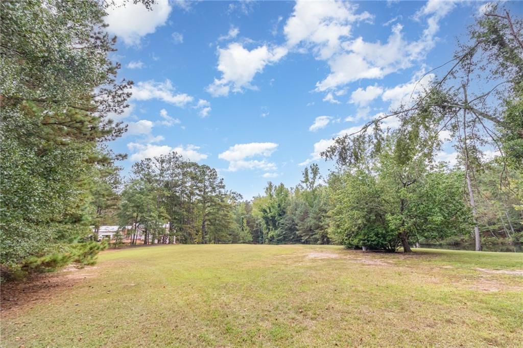 10861 Hutchesons Ferry Road Chattahoochee Hills, GA 30268 - Photo 7 of 18