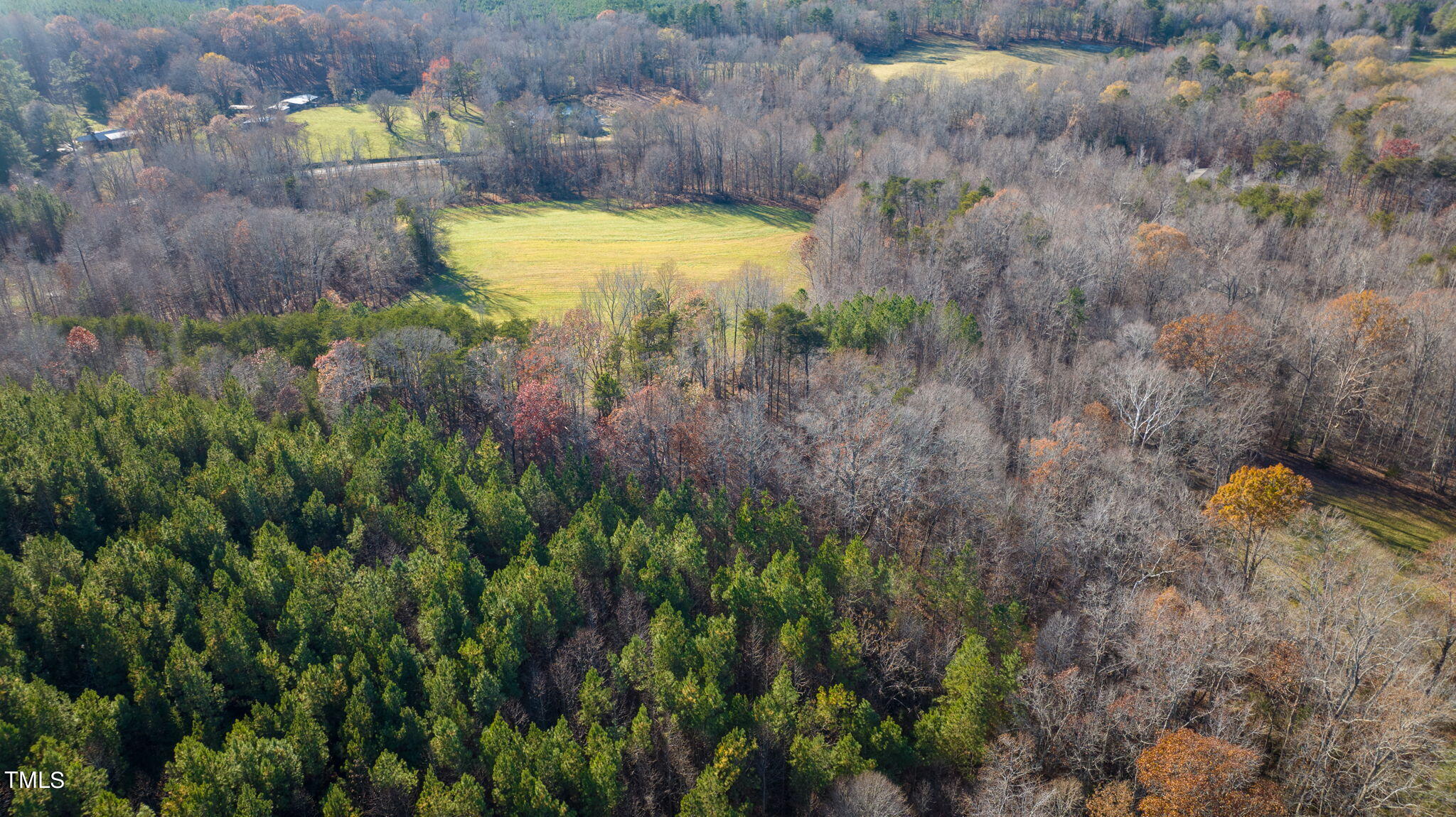 12624 Hampton Road Rougemont, NC 27572 - Photo 11 of 18 8-web-or-mls-DJI_0251-HDR