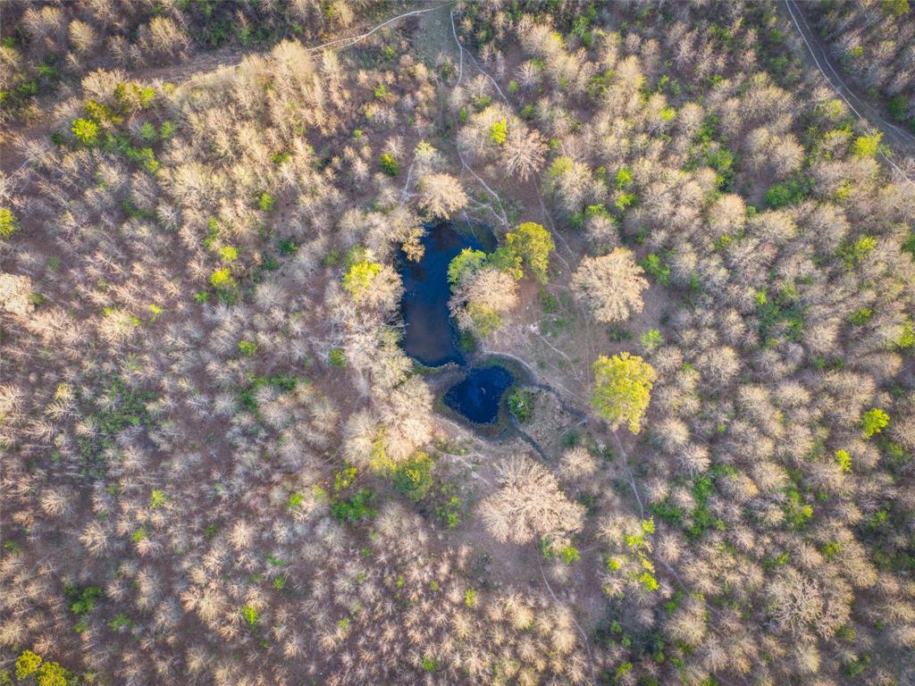 990 St Simms Tx 75574 Simms, TX 75574 - Photo 14 of 21 a close up of a tree