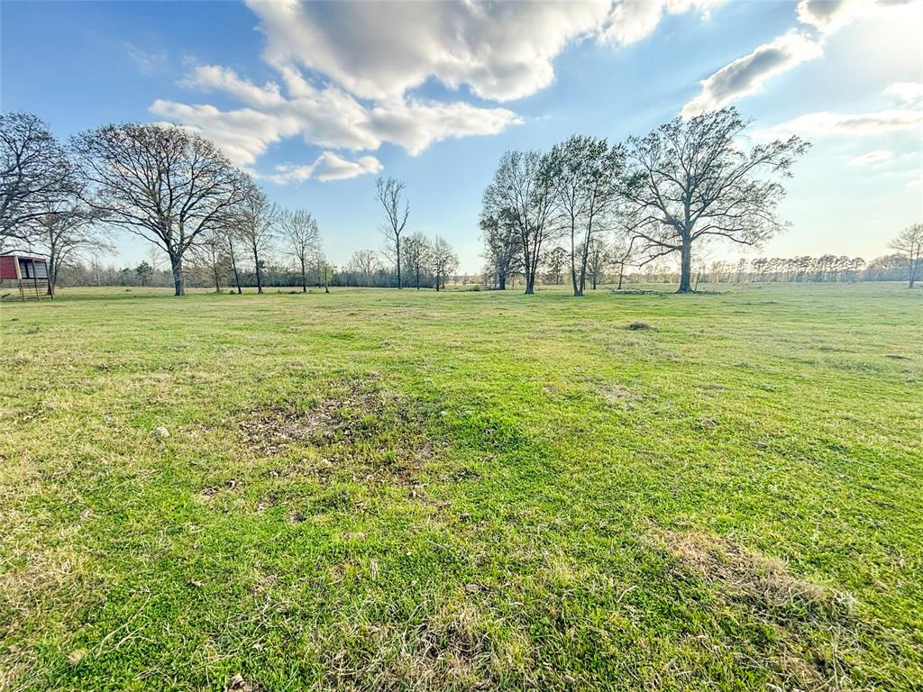 990 St Simms Tx 75574 Simms, TX 75574 - Photo 20 of 21 a garden view