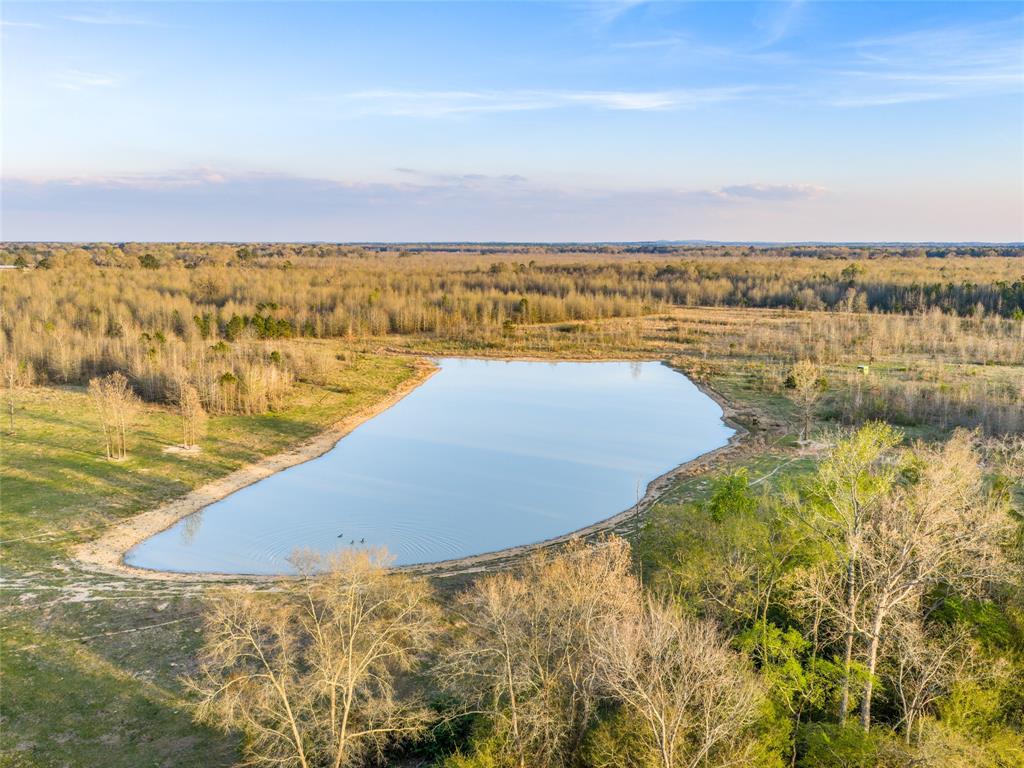 990 St Simms Tx 75574 Simms, TX 75574 - Photo 6 of 21 a view of ocean view