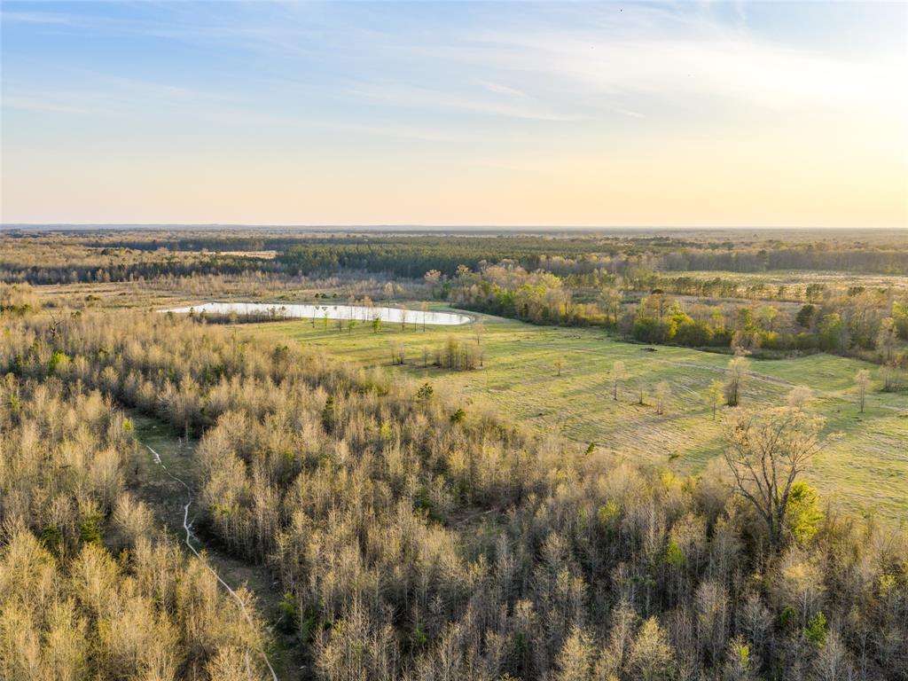 990 St Simms Tx 75574 Simms, TX 75574 - Photo 9 of 21 a view of an ocean and beach