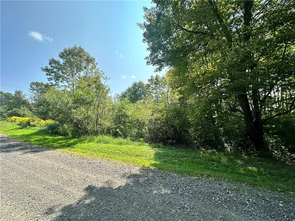 $65,000 | Sears Pond Road, Sherburne, NY 13460