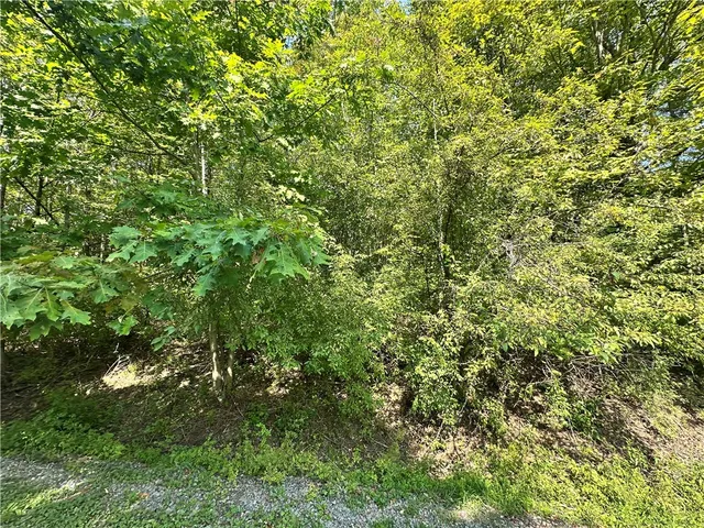 $65,000 | Sears Pond Road, Sherburne, NY 13460