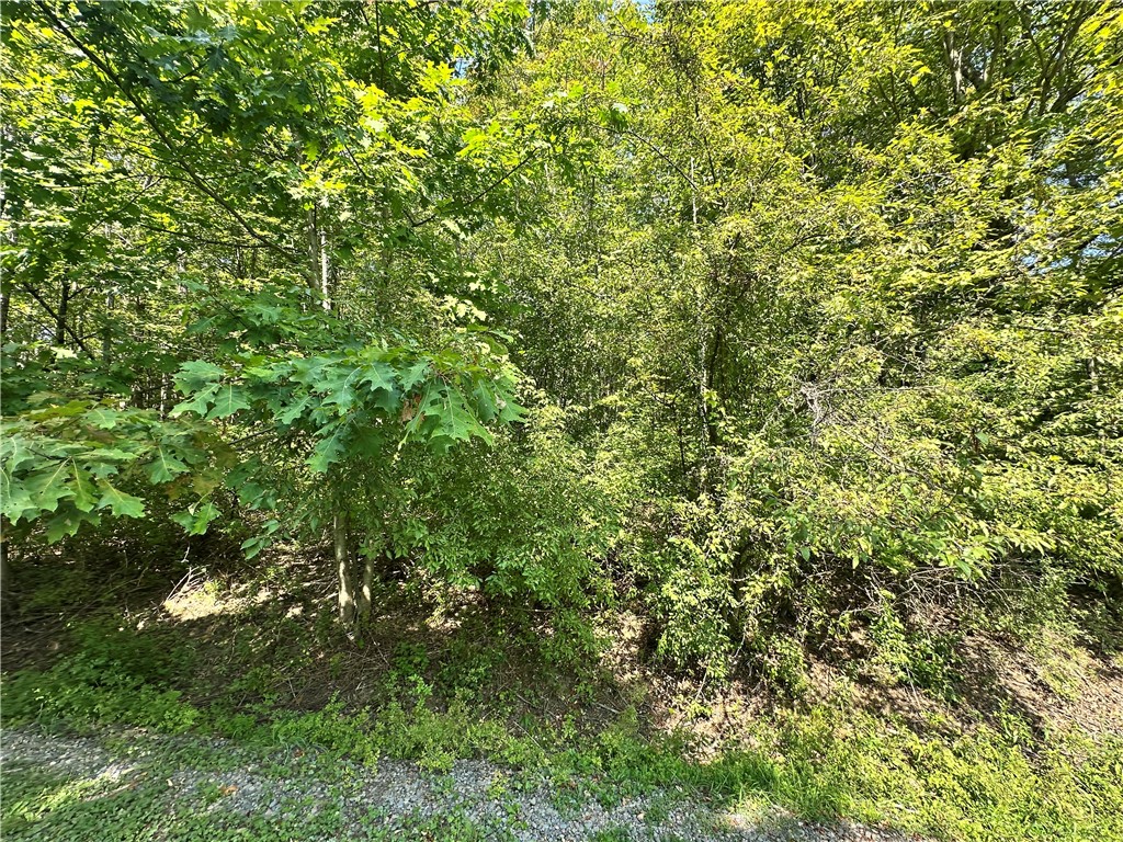 Sears Pond Road Sherburne, NY 13460 - Photo 4 of 5