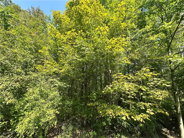 $65,000 | Sears Pond Road, Sherburne, NY 13460