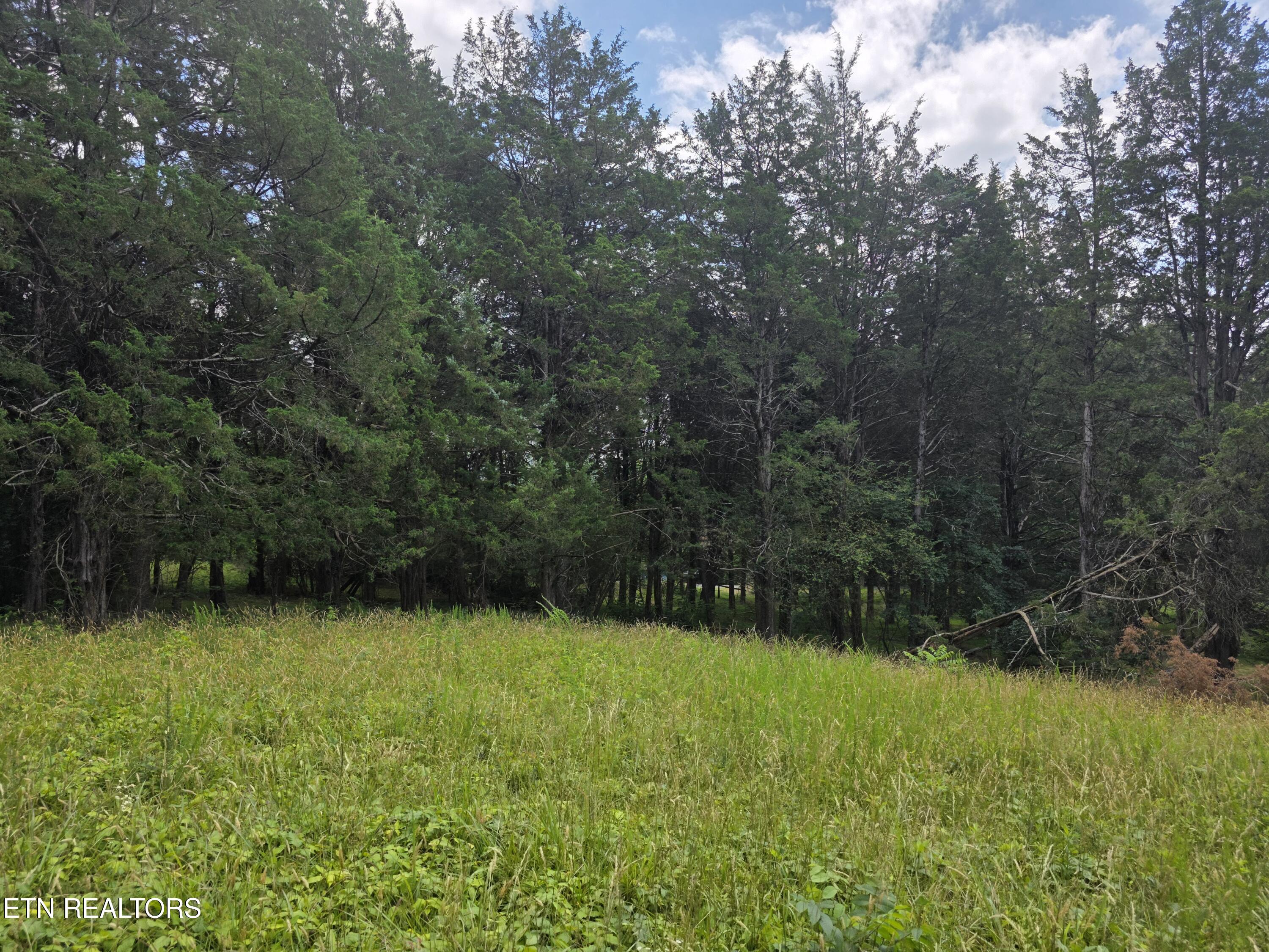 8050 Lett Road Corryton, TN 37721 - Photo 24 of 30 Pasture