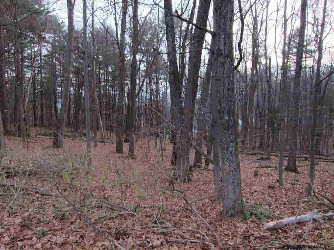 20 Platt Road Lake George, NY 12845 - Photo 11 of 12 Photo 11