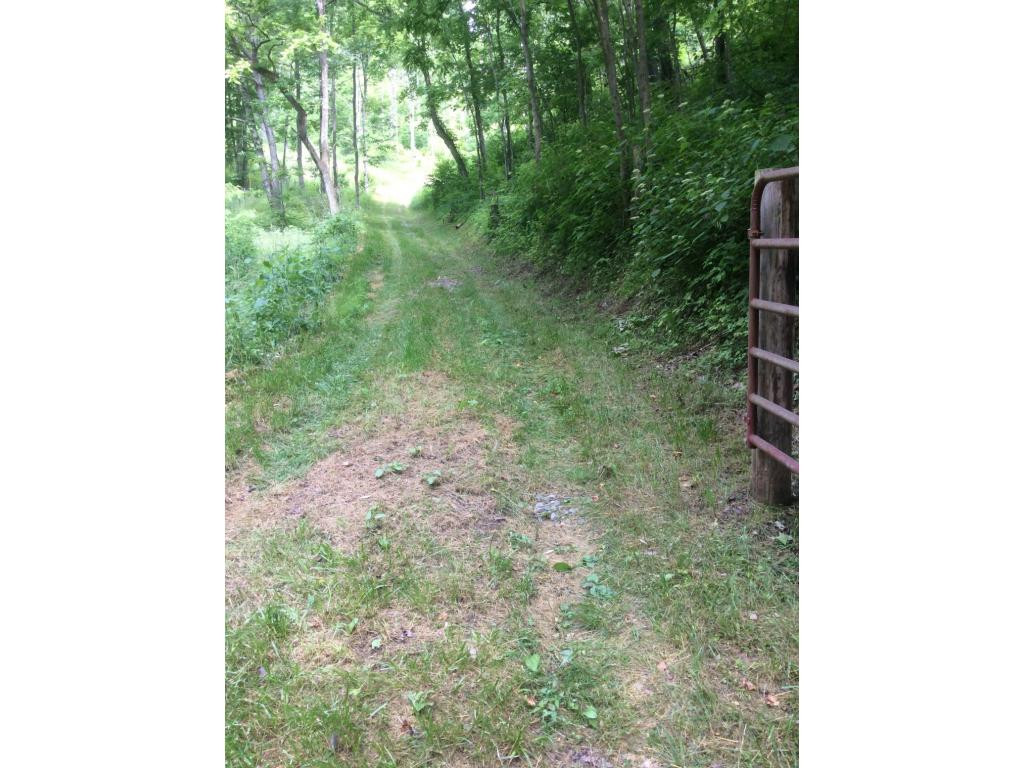 Tbd Tbd Tilson Erwin, TN 37650 - Photo 11 of 14 Photo 11