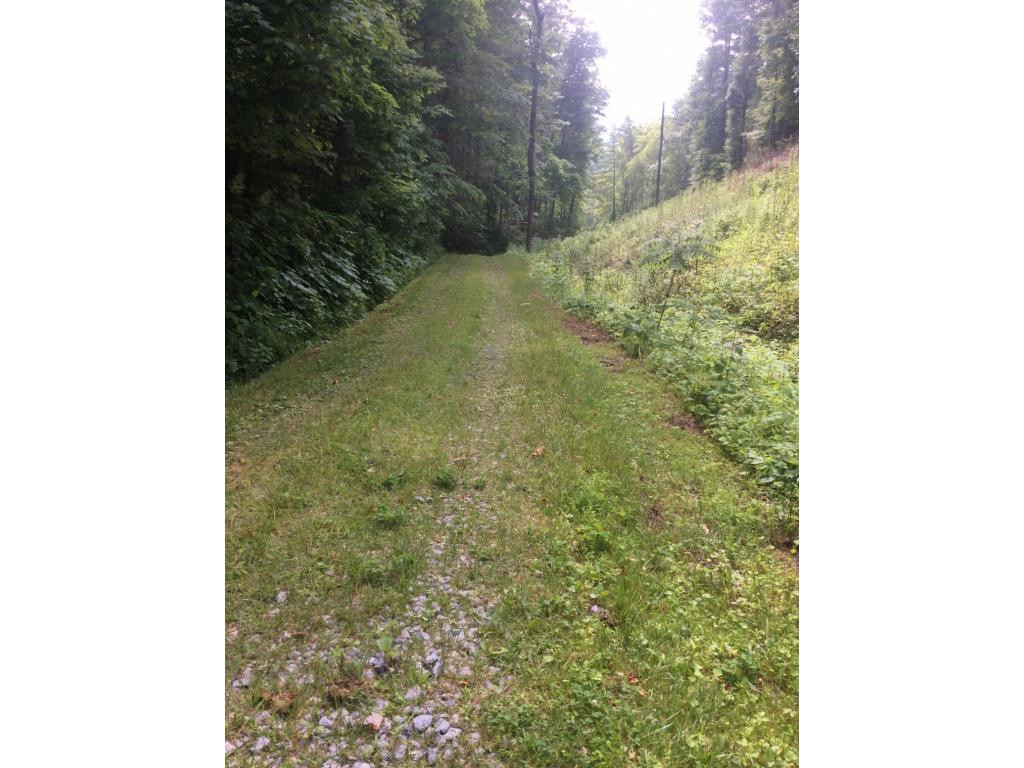 Tbd Tbd Tilson Erwin, TN 37650 - Photo 12 of 14 Photo 12
