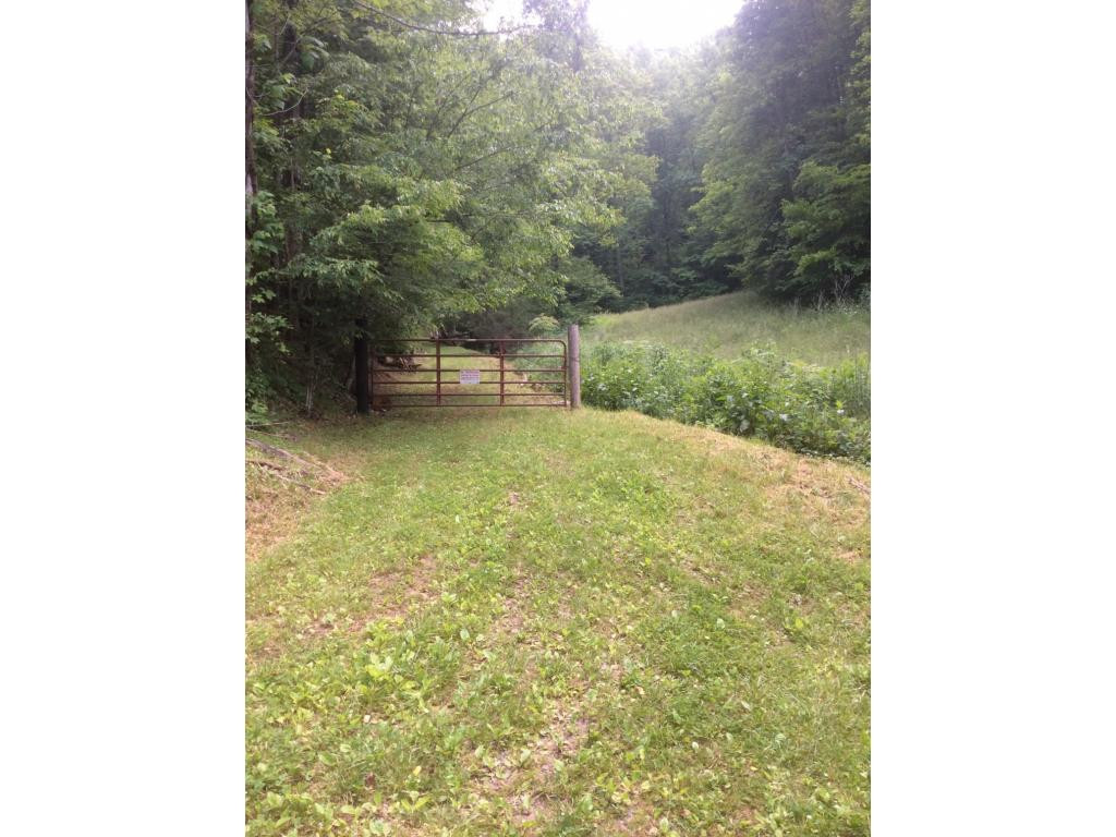 Tbd Tbd Tilson Erwin, TN 37650 - Photo 13 of 14 Photo 13