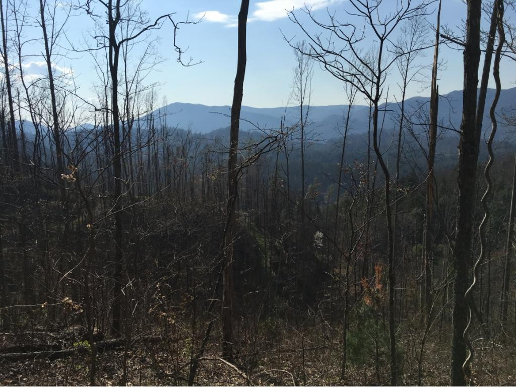 Tbd Tbd Tilson Erwin, TN 37650 - Photo 2 of 14 Photo 2