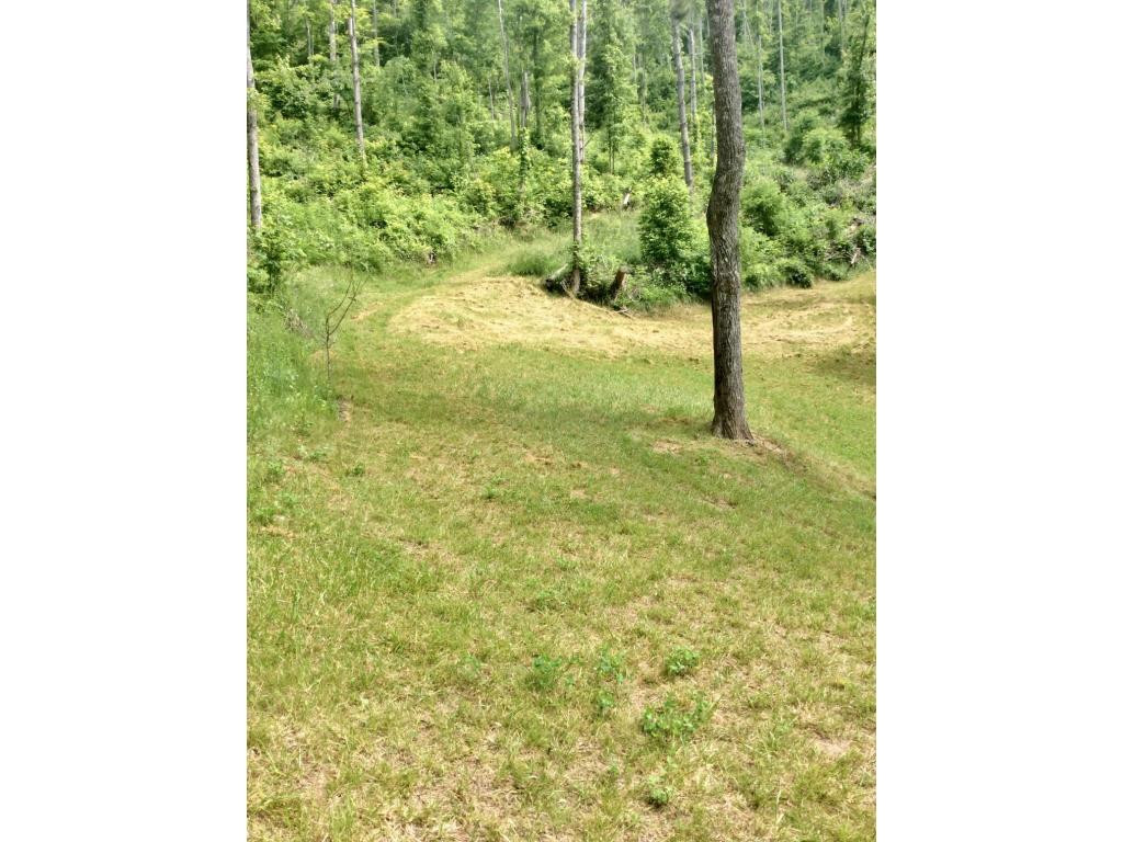 Tbd Tbd Tilson Erwin, TN 37650 - Photo 4 of 14 Photo 4