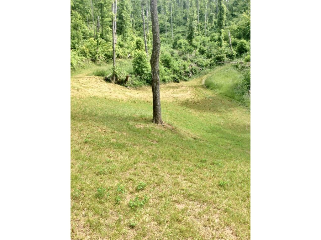 Tbd Tbd Tilson Erwin, TN 37650 - Photo 5 of 14 Photo 5