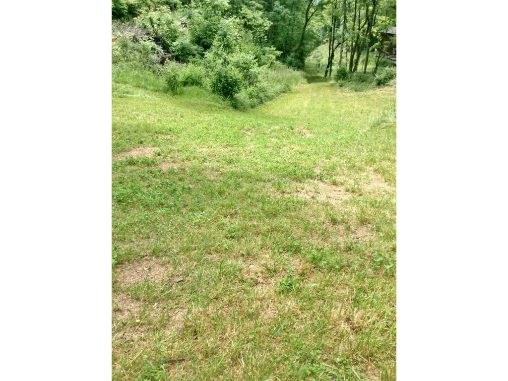 Tbd Tbd Tilson Erwin, TN 37650 - Photo 6 of 14 Photo 6