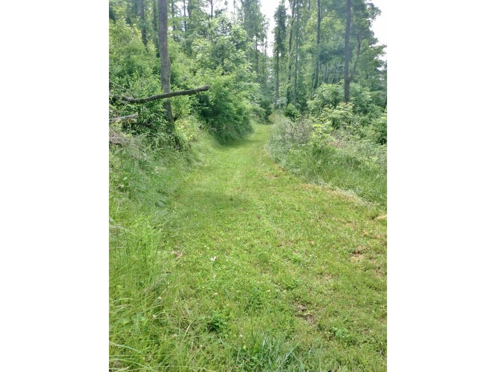 Tbd Tbd Tilson Erwin, TN 37650 - Photo 7 of 14 Photo 7