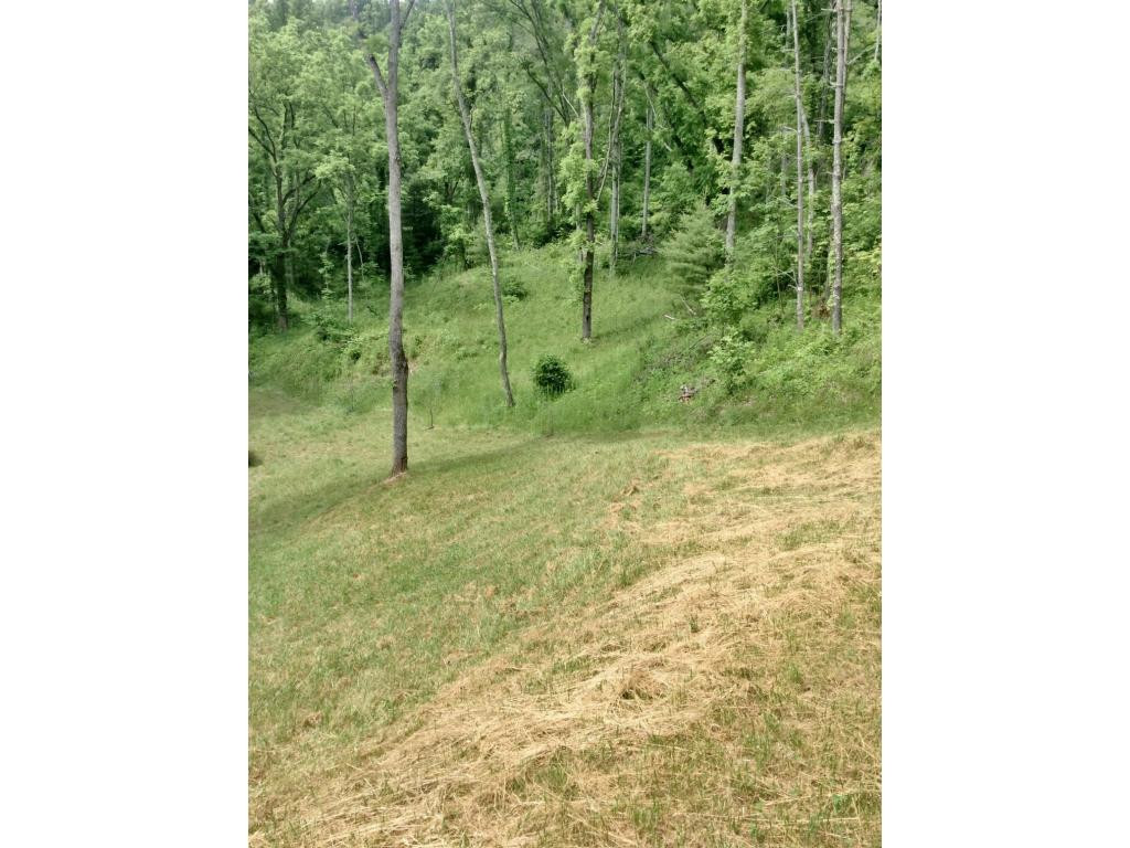 Tbd Tbd Tilson Erwin, TN 37650 - Photo 8 of 14 Photo 8