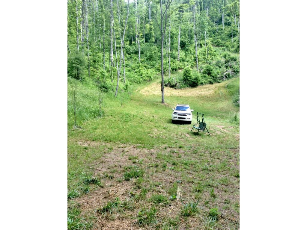 Tbd Tbd Tilson Erwin, TN 37650 - Photo 10 of 14 Photo 10
