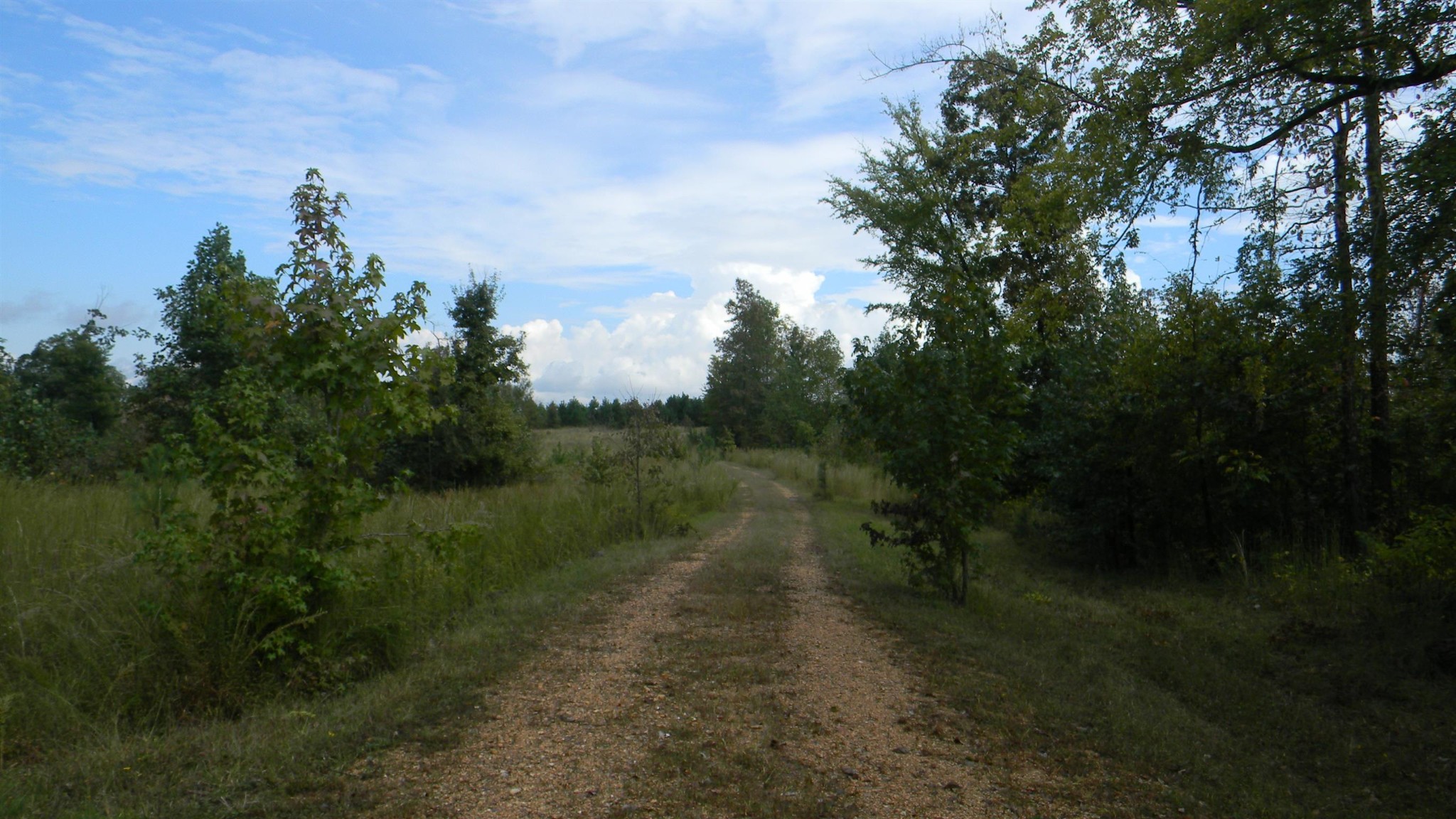 0 Gander Branch Road Waverly, TN 37185 - Photo 19 of 30 Gallery Image 19