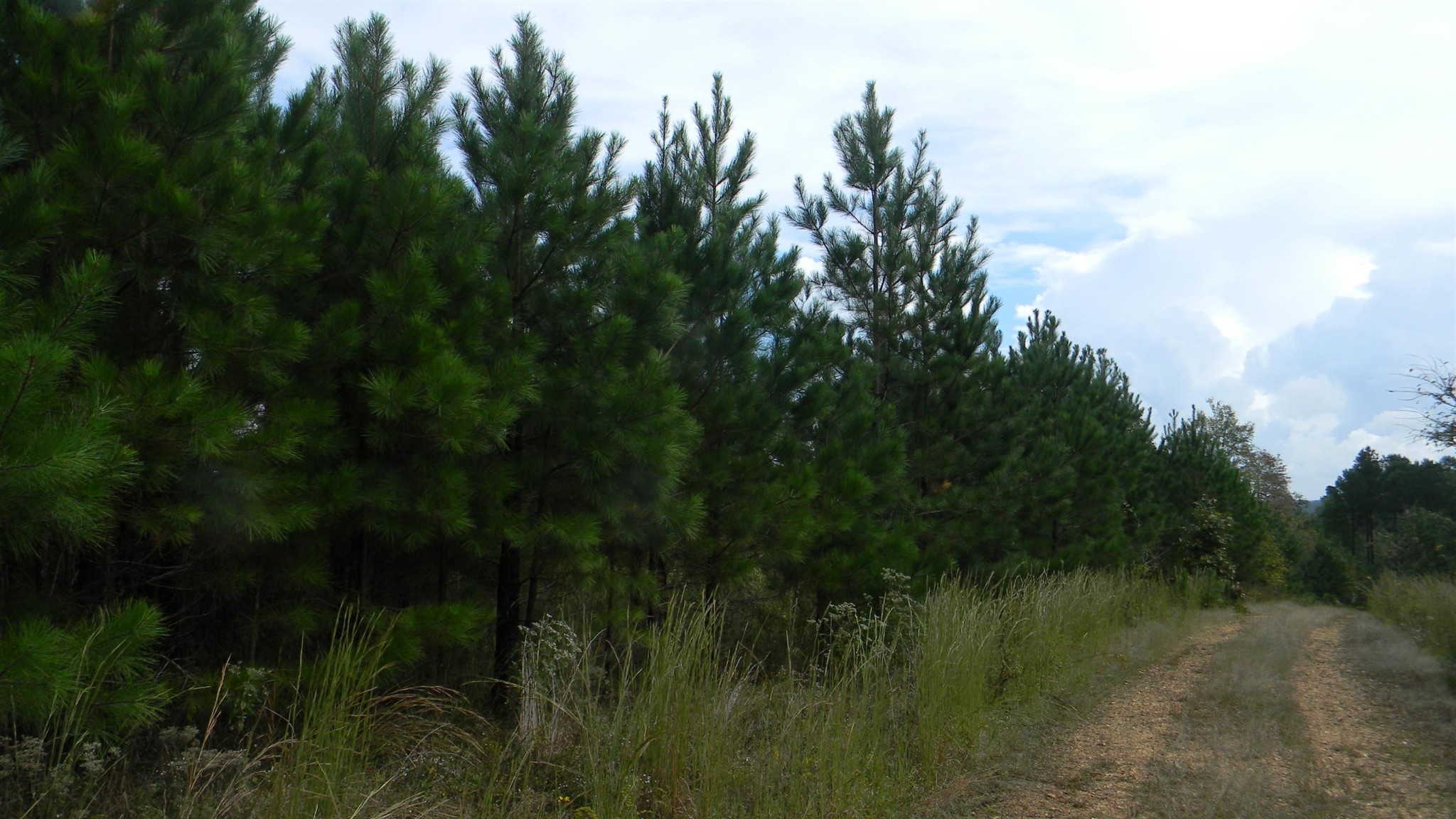 0 Gander Branch Road Waverly, TN 37185 - Photo 20 of 30 Gallery Image 20