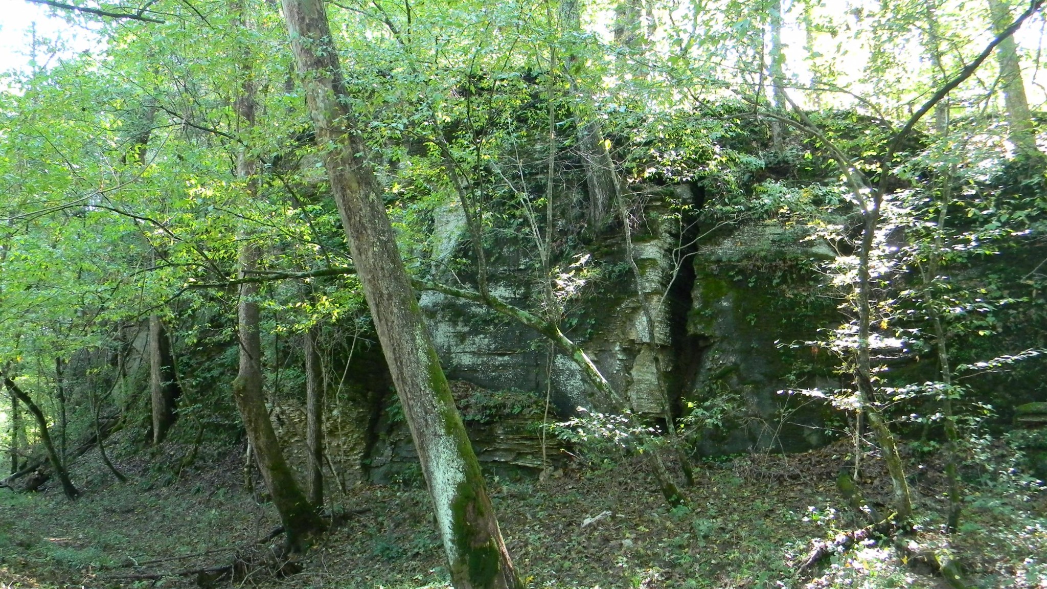 0 Gander Branch Road Waverly, TN 37185 - Photo 24 of 30 Gallery Image 24