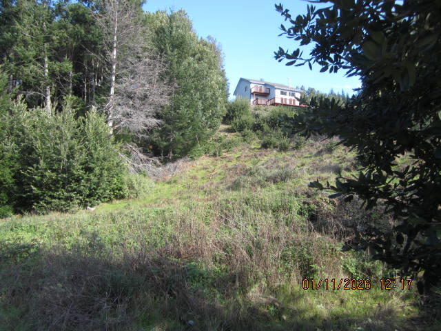 2715 Toth Road Shelter Cove, CA 95589 - Photo 20 of 27 IMG_0772
