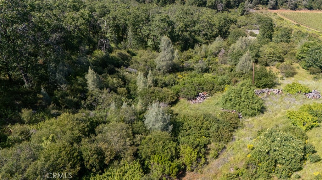 13520 Point Lakeview Road Lower Lake, CA 95457 - Photo 7 of 31