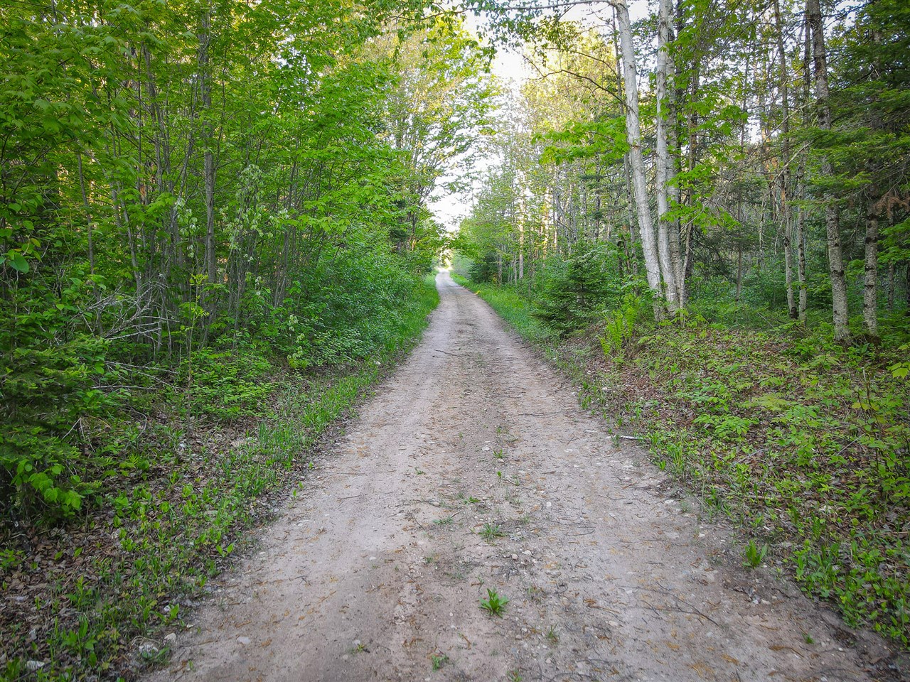 V/l V/l 33rd Road Gladstone, MI 49837 - Photo 11 of 70