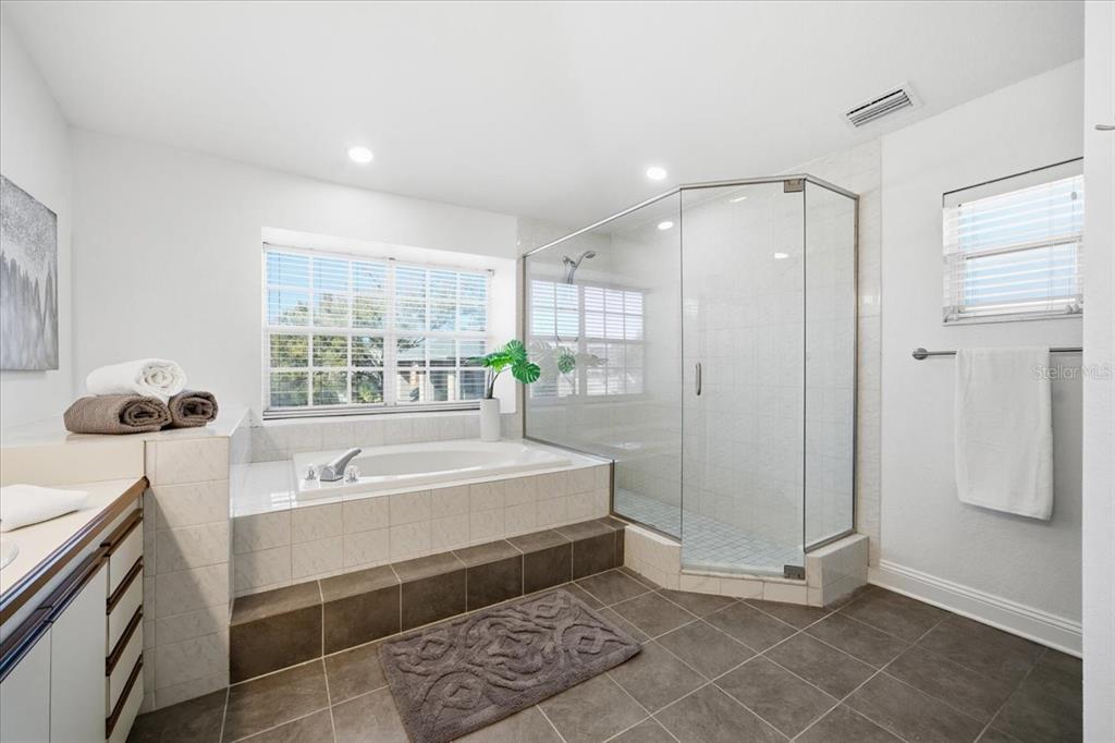 3049 Geiger Court Clearwater, FL 33761 - Photo 60 of 90 a spacious bathroom with a shower and a sink