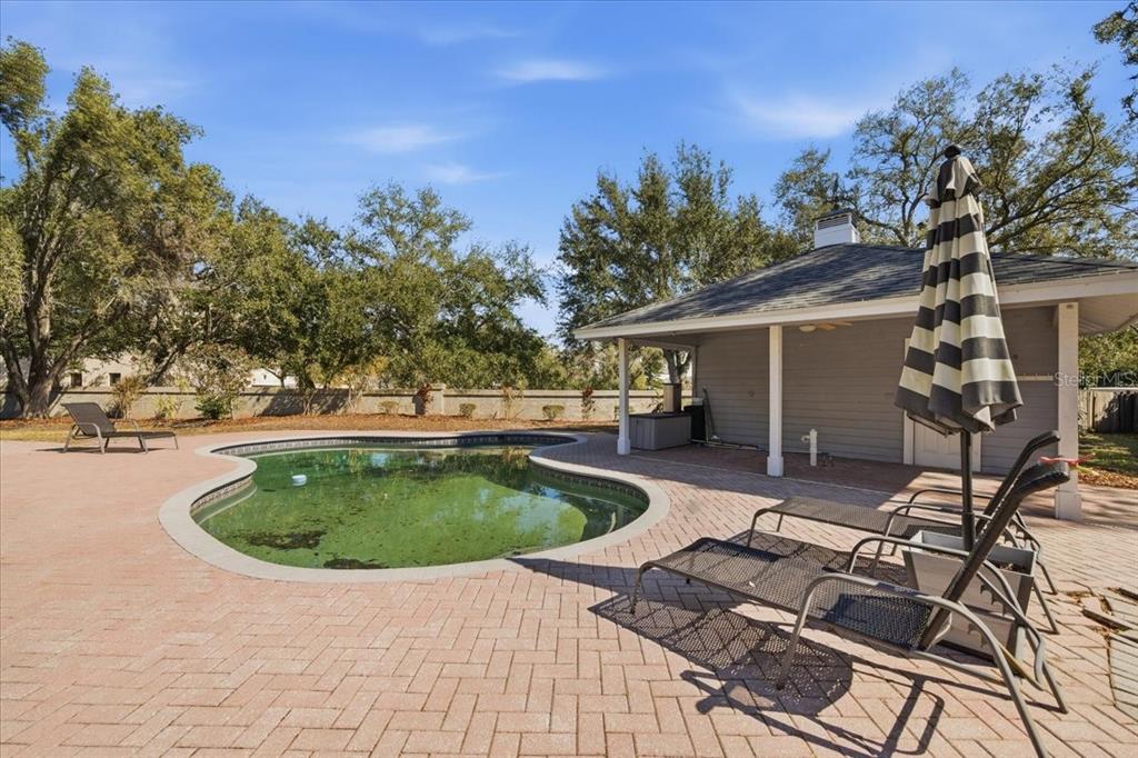 3049 Geiger Court Clearwater, FL 33761 - Photo 75 of 90 a view of outdoor space yard and swimming pool